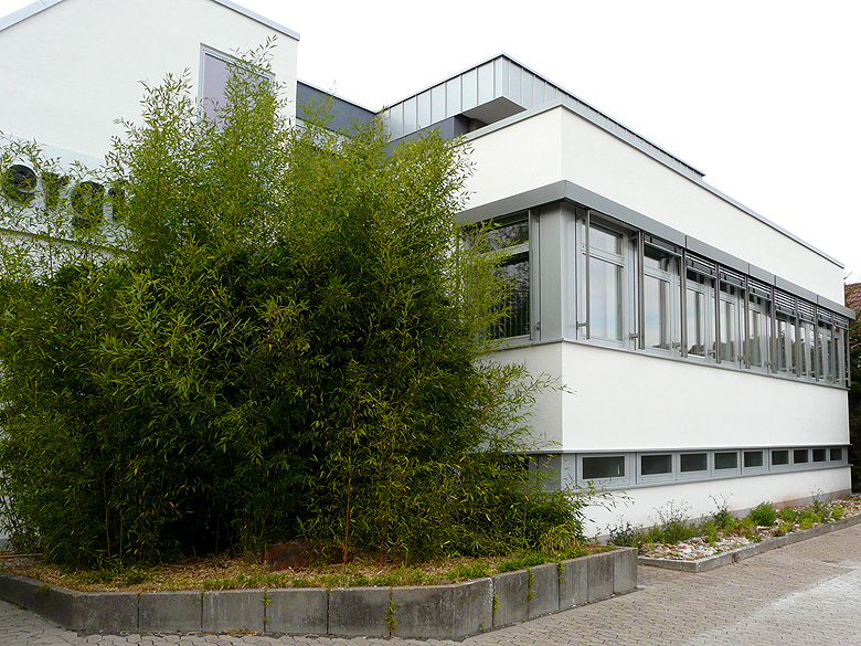 Energis Illingen
